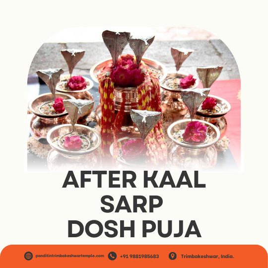 After Kaal Sarp Dosh Puja