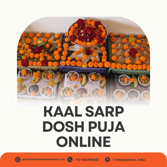 Kaal Sarp Dosh Puja Online